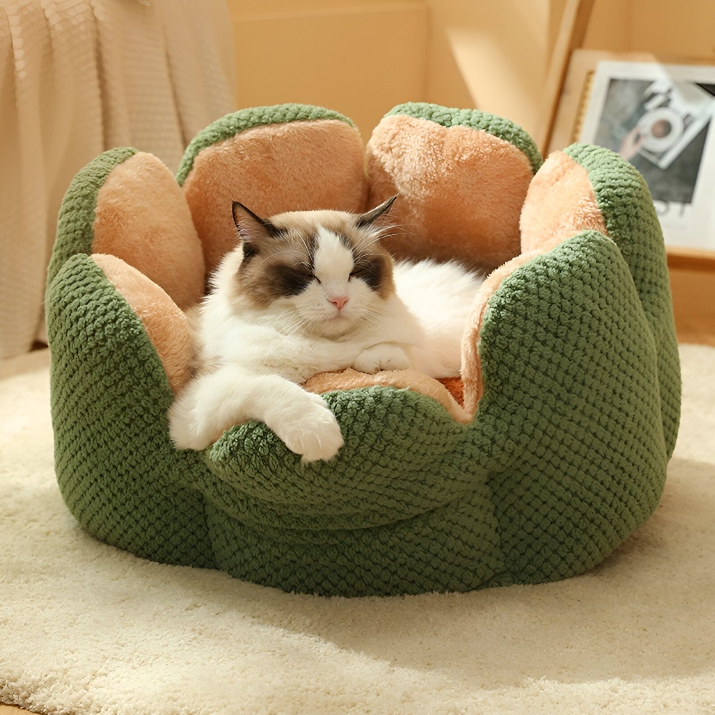Cactus Flower Pet Bed
